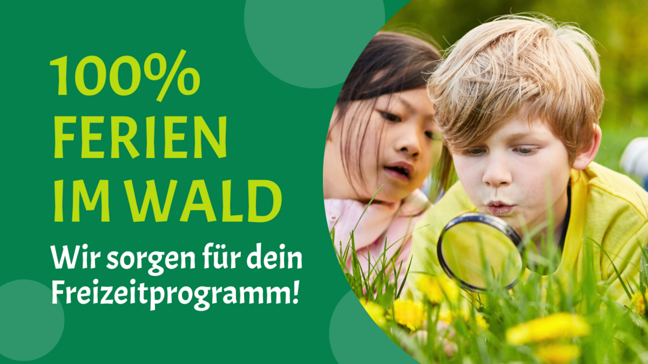 Ferien_im_Wald_Freizeitprogramm_2025